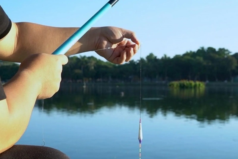 Chọn cần câu có độ đàn hồi phù hợp