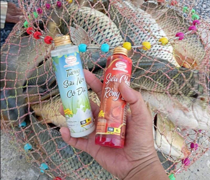 Cách trộn mồi câu chép – Tỷ lệ vàng giúp mồi mềm và tan đều