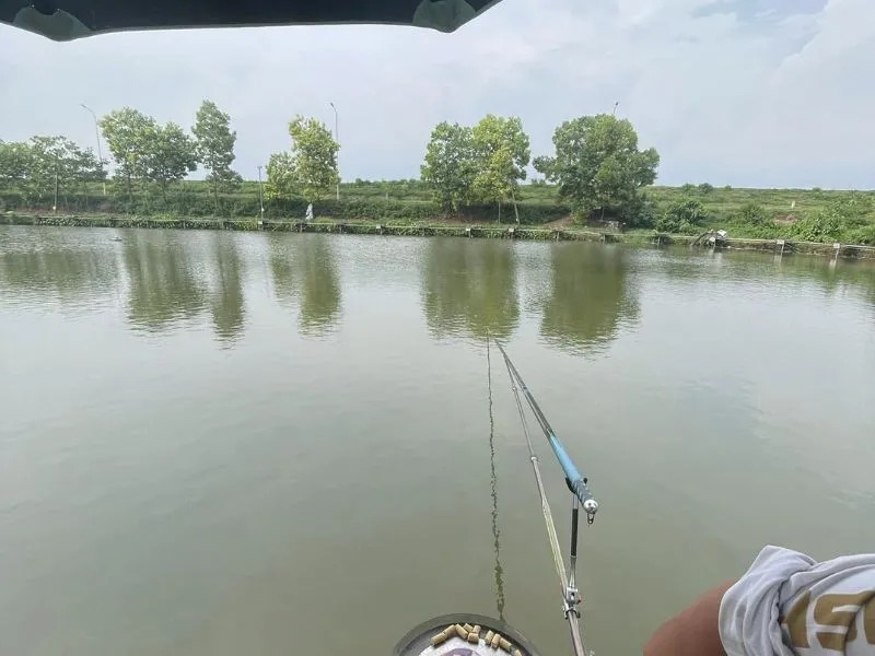 Các yếu tố ảnh hưởng đến cách trộn mồi câu chép