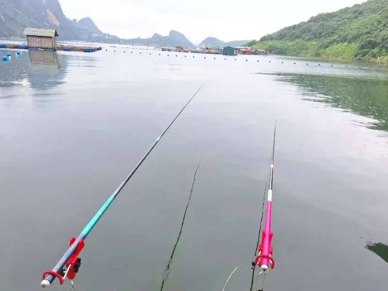 Hướng dẫn chọn cần câu phù hợp cho câu thủ