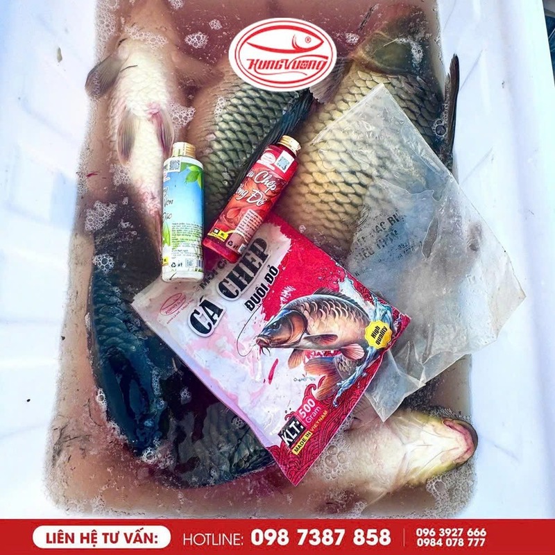 Mẹo chọn mồi phù hợp thời tiết – Cá ăn mạnh quanh năm