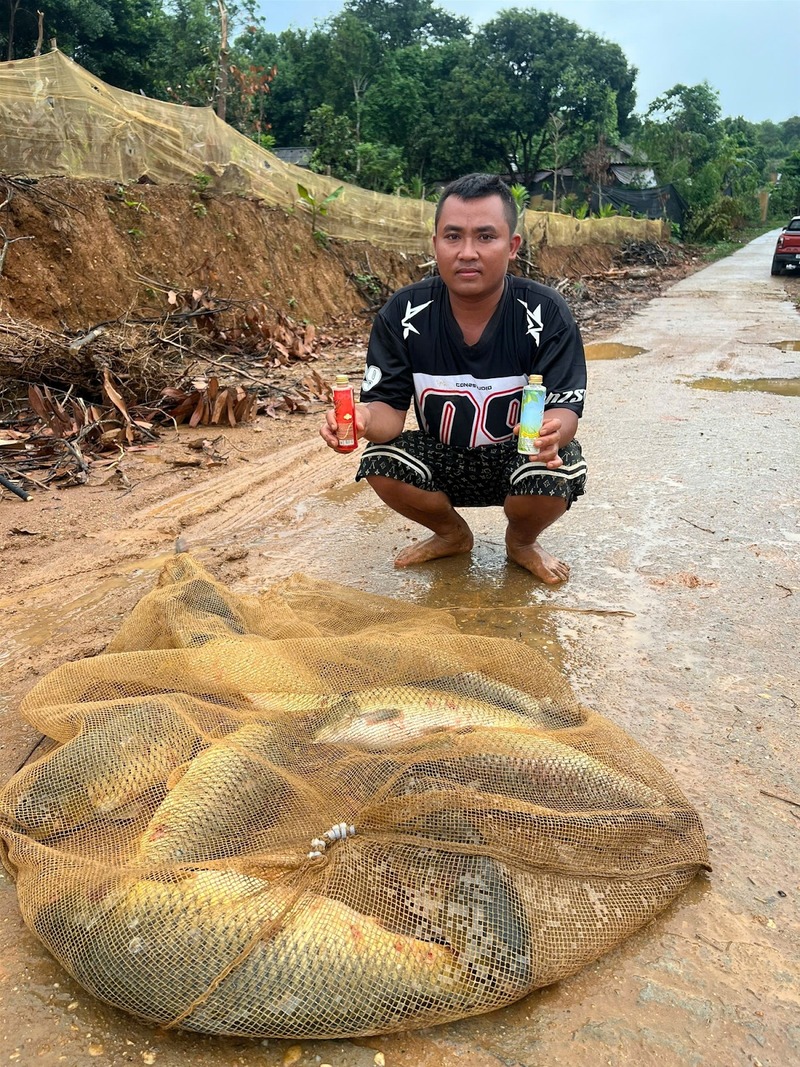 Những điều cần lưu ý để lựa chọn mồi câu cá chép hiệu quả nhất
