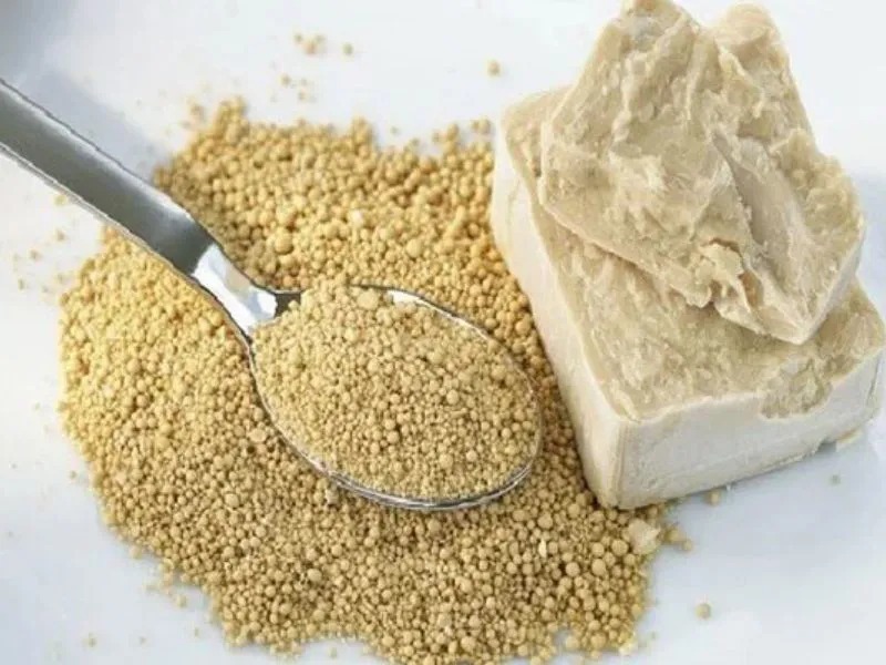 Công thức ủ men tăng hương thu hút