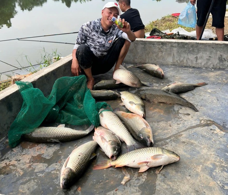 mồi câu chép đơn giản, hiệu quả tại Hùng Vương