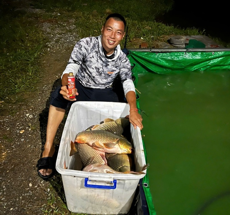 Tính ổn định khi câu lâu