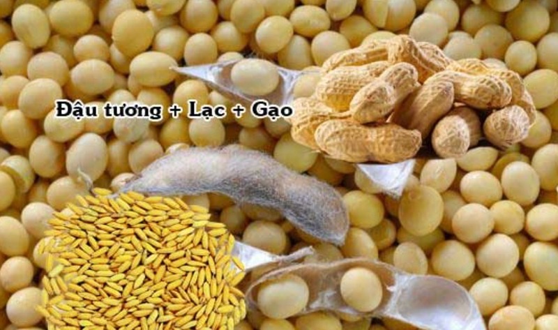 Làm mồi từ gạo và đỗ lạc
