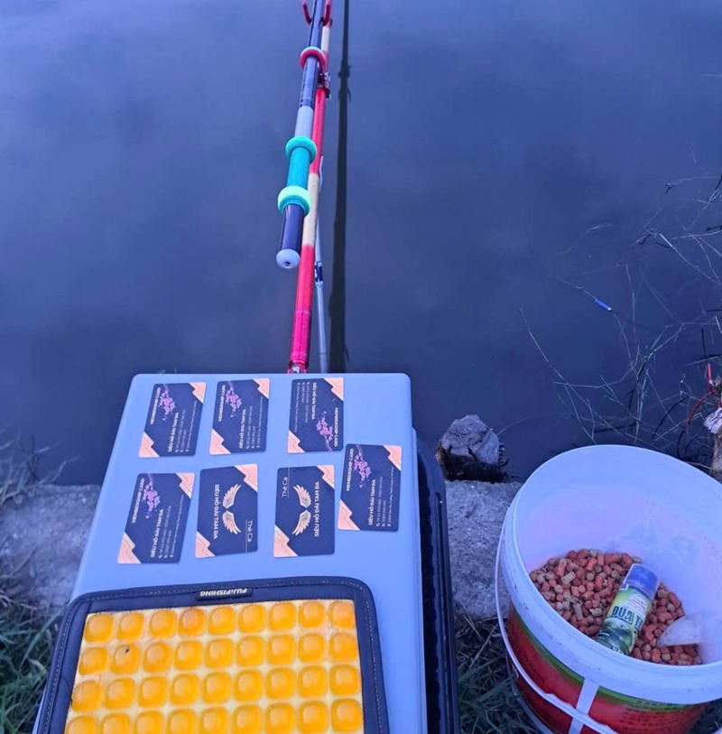 Xác định chính xác khu vực có cá