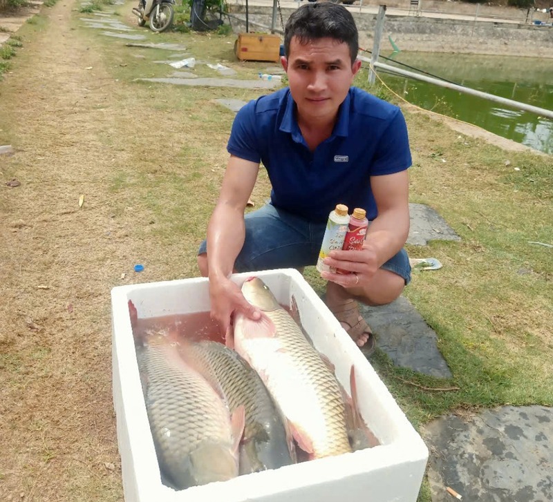 Khai thác đúng tập tính tự nhiên của cá