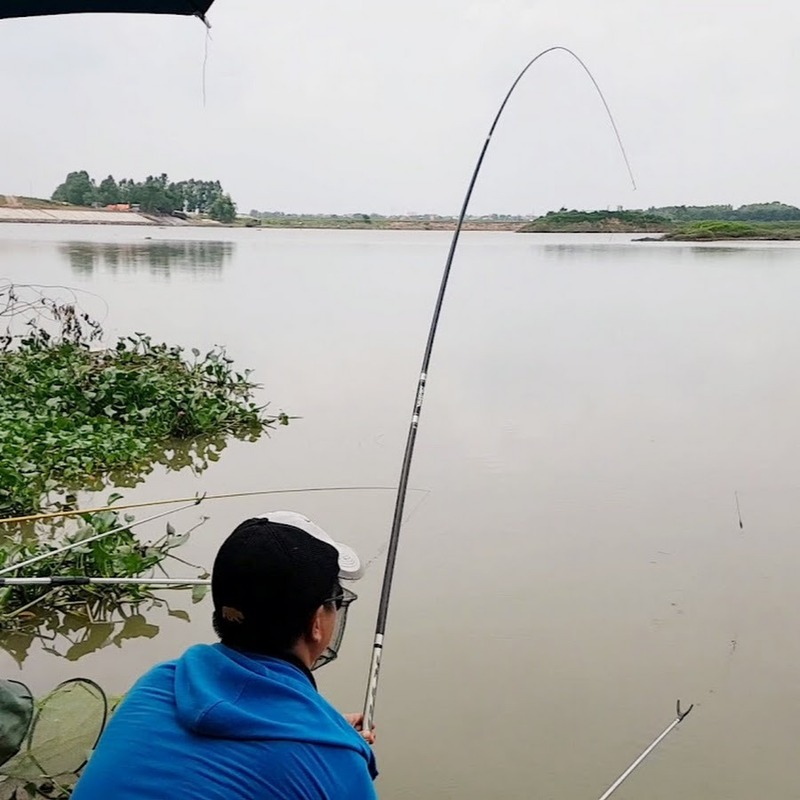 Kinh nghiệm để câu cá mè hiệu quả