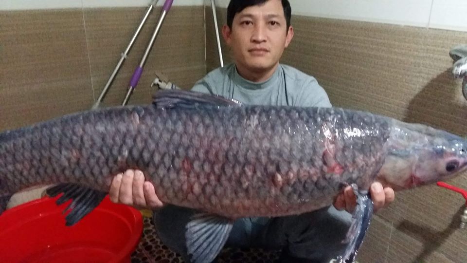 hình ảnh cần thủ sử dung tinh trắm đen
