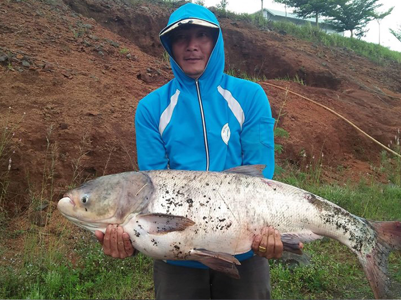 tap-tinh-cua-ca-me-va-1-so-kinh-nghiem-khi-cau-ca-me