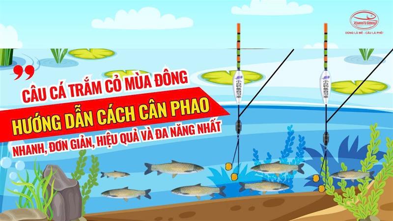 Hướng dẫn cách cân phao câu cá trắm cỏ nhanh, đơn giản, hiệu quả và đa năng nhất