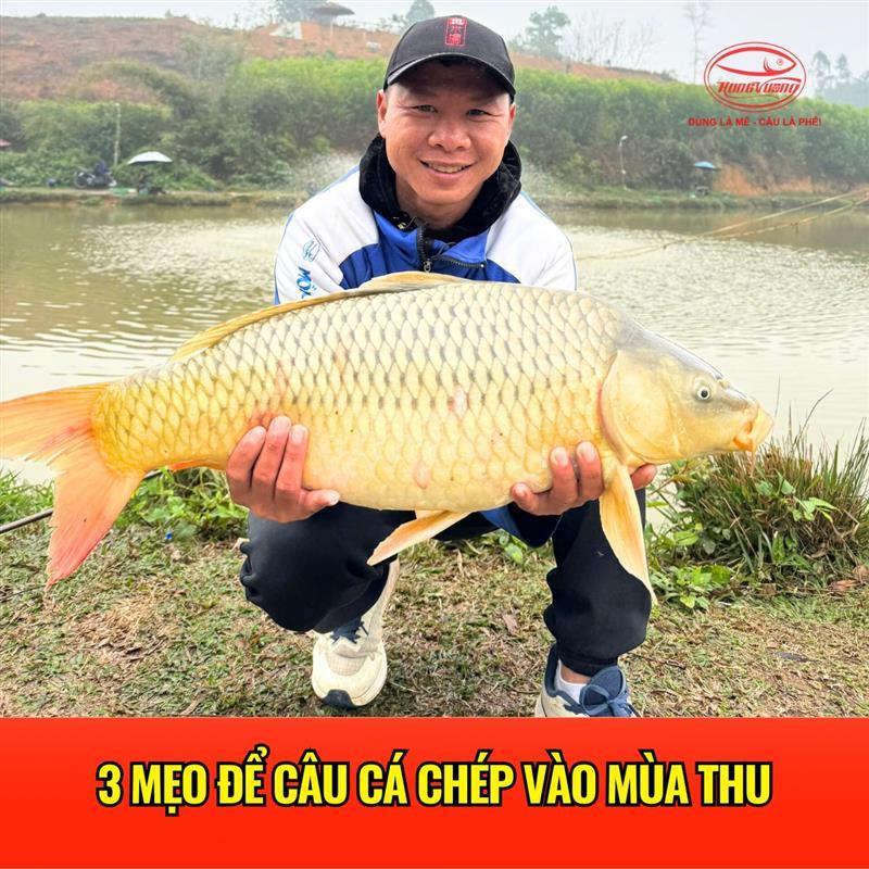 3 mẹo để câu cá chép vào mùa thu
