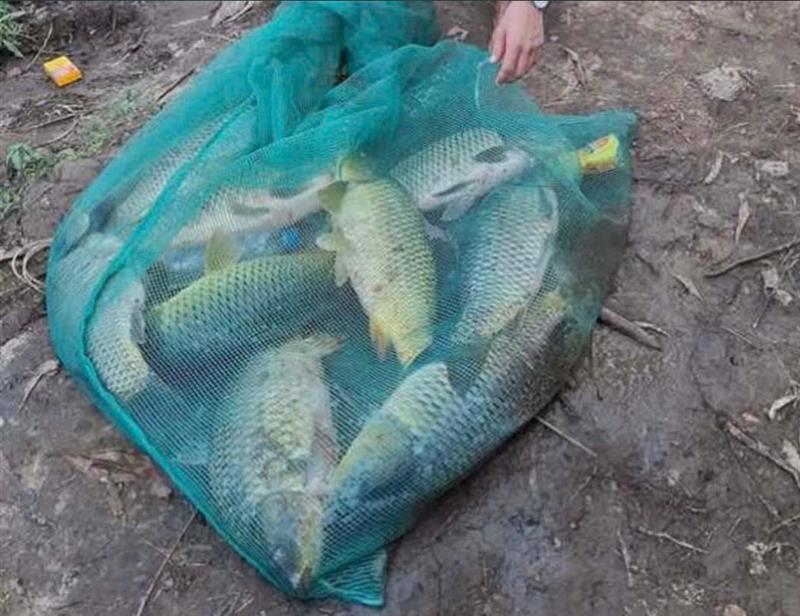 Câu cá chép hồ khai trương Combo Siêu Chép - Chìa khóa mở ra những giải thưởng