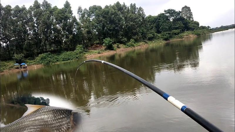 Hướng dẫn cách chọn lưỡi câu phù hợp với từng loại cá