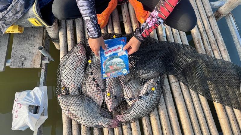 Mồi Hùng Vương dành cho cần thủ chuyên nghiệp – Lý do được ưa chuộng